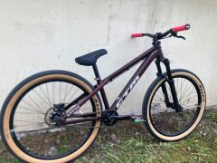 CTM Dirtking Expert 2022
