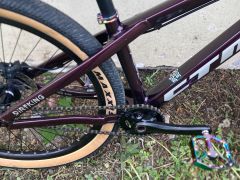 CTM Dirtking Expert 2022