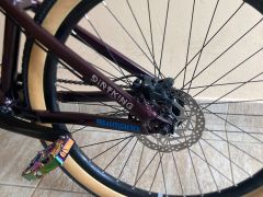 CTM Dirtking Expert 2022