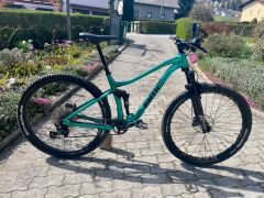 BMC SpeedFox two (M) 29