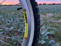 Bicykel Kelly's Comp 7000