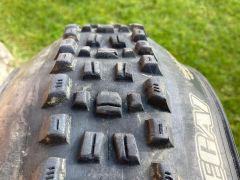 Maxxis Assegai 29x2,60 3C MaxxTerra EXO TR