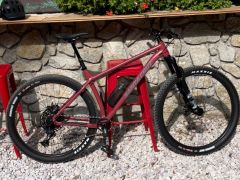 Santa Cruz Chameleon XL 29" 2021 - raspberry sorbet