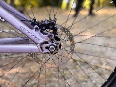 CTM Dirtking Xpert