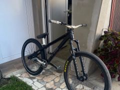 Ctm dirtking Expert