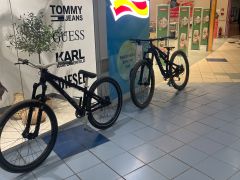 Ctm dirtking Expert