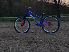 Marin Alcatraz custom