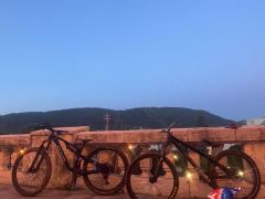 Ctm dirtking Expert