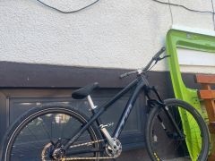 Ctm dirtking Expert