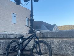 Ctm dirtking Expert