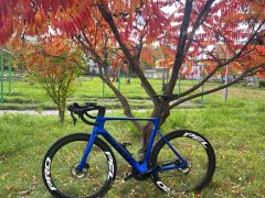 Giant propel advanced 2 m/L