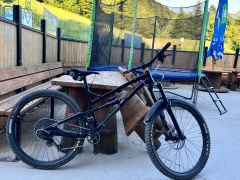 Dartmoor Blackbird 29 L