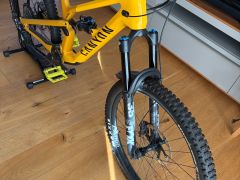 Canyon Spectral CF8