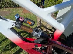 Custom YT capra