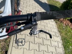 Custom YT capra