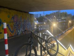 Ctm dirtking Expert