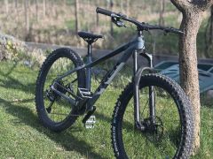 Trek roscoe 8 2019