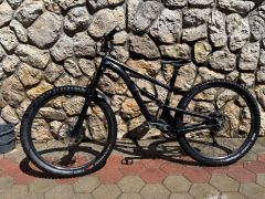 Kellys thorx 10