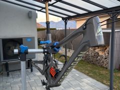 Forbidden Druid V1 XL 29