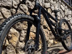 Kellys thorx 10