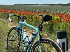 Bianchi sempre pro IBA ram