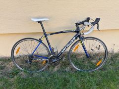 Cestak Specialized 54cm