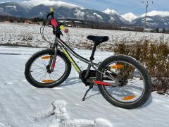 Specialized Riprock 20"