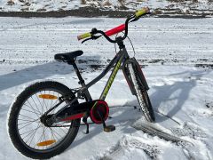 Specialized Riprock 20"