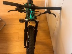 Rascal Wild 24 emerald