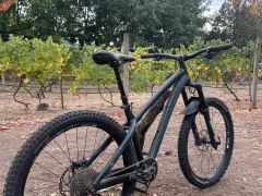 Dartmoor Hornet 2020