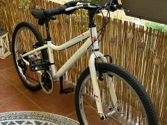 Detský dievčenský bicykel Dema Iseo