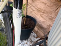 Cannondale synapse