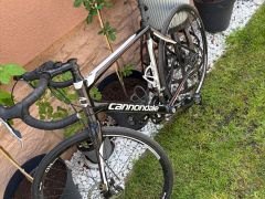Cannondale synapse