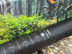 Race Face Next Carbon