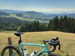 Bianchi sempre pro IBA ram