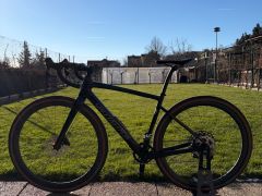 Specialized Diverge Expert Carbon