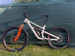 Canyon Torque Mullet 7