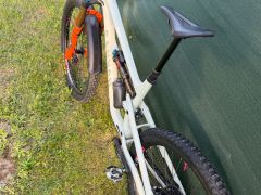 Canyon Torque Mullet 7