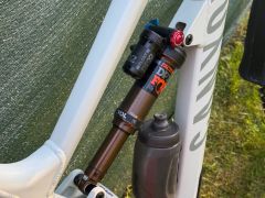 Canyon Torque Mullet 7