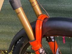 Canyon Torque Mullet 7