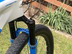 Head Adapt Edge Team