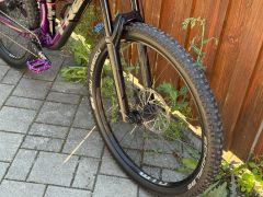 Trek Fuel EX 8