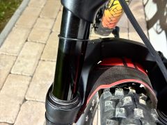 Predam 24" Orbea Laufley M10