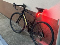 Trek domane al 2