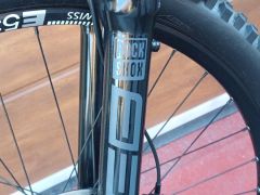 Propain Spindrift AL 29