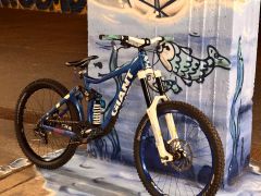 Giant Faith - freeride build