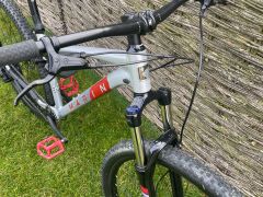 Marin bobcat trail 4