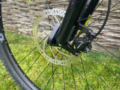 Marin bobcat trail 4