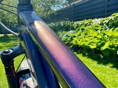 Santa Cruz Bronson AL