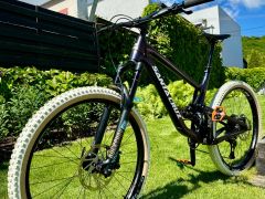 Santa Cruz Bronson AL
